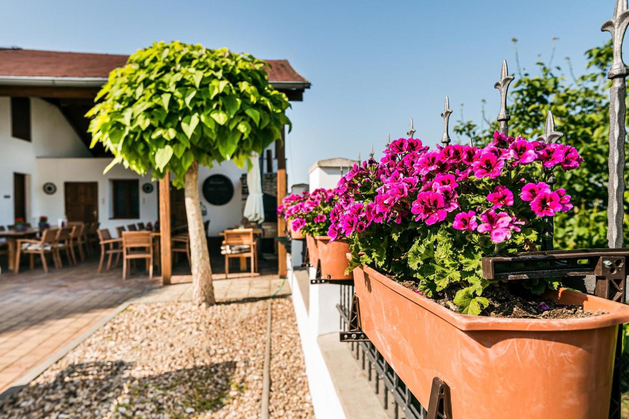 Resort Kovacs Novosedly  Екстер'єр фото
